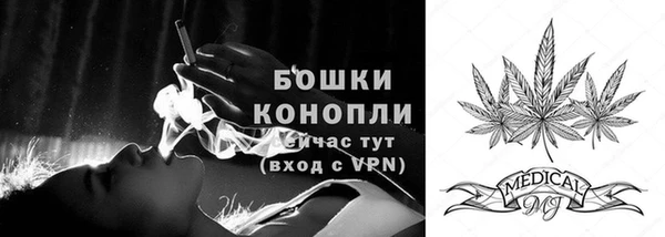 амф Володарск