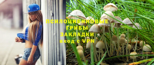 гидра Волосово