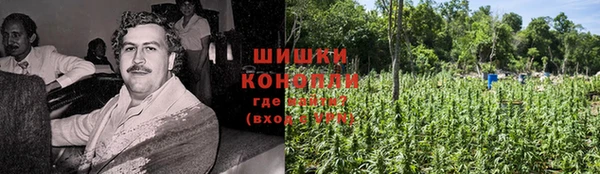 гидра Волосово