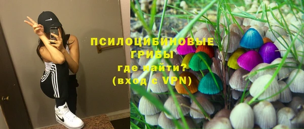 гидра Волосово