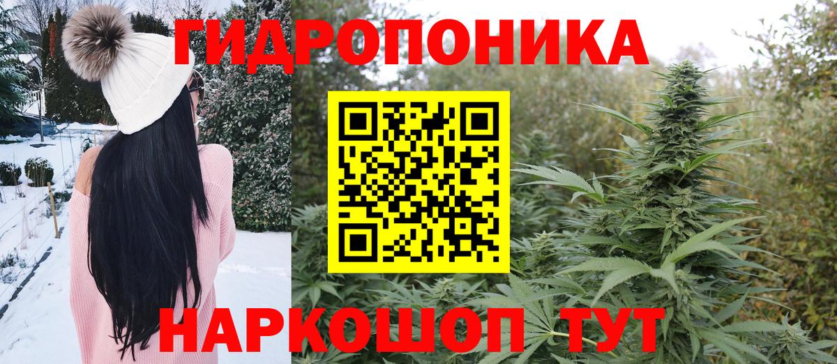 Мариинск  Каннабис ГИДРОПОН  Каннабис сатива  Вход с VPN 
